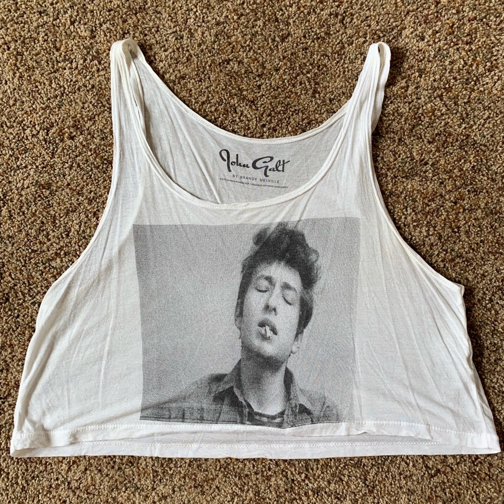 Brandy Melville Crop Top